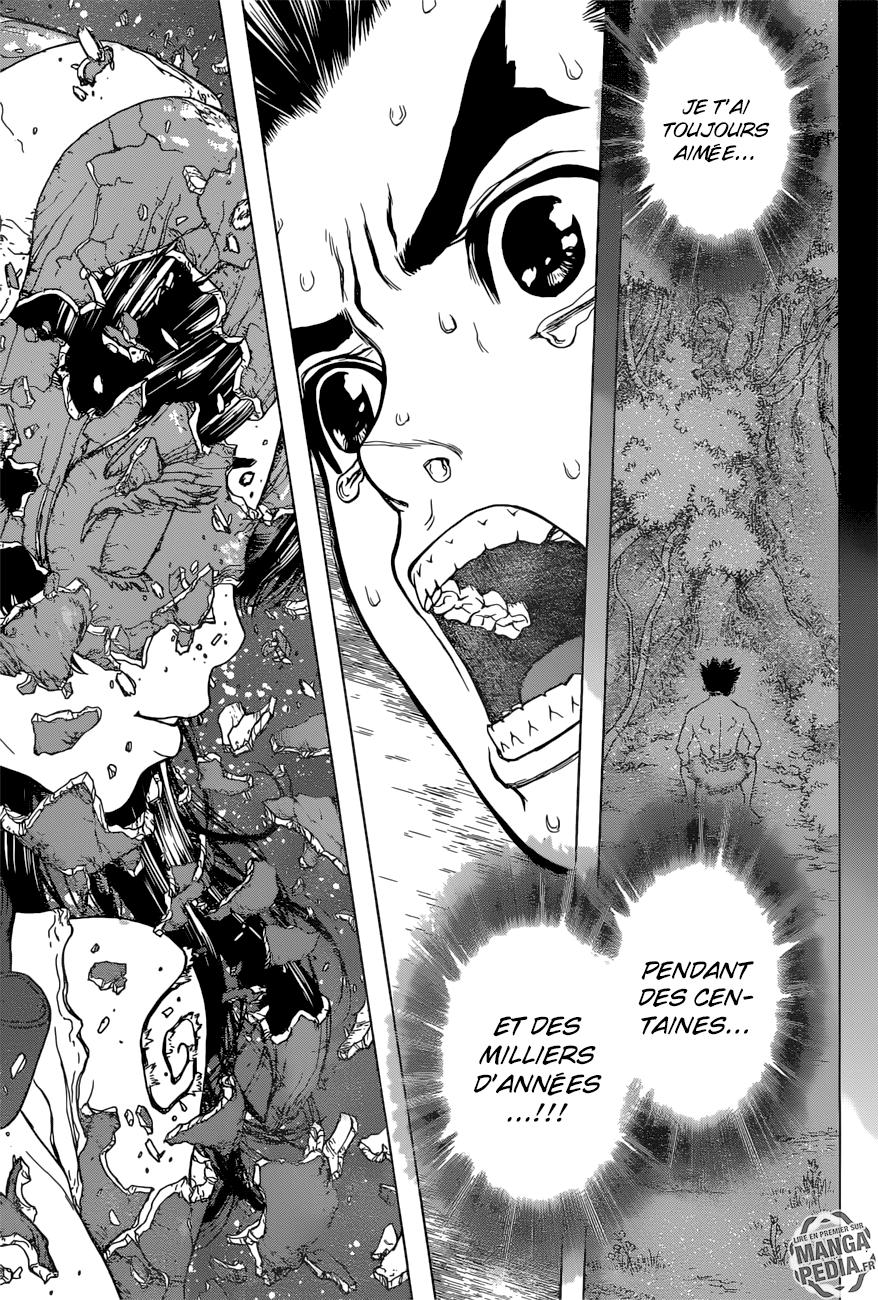 Read Dr Stone FR Manga Online