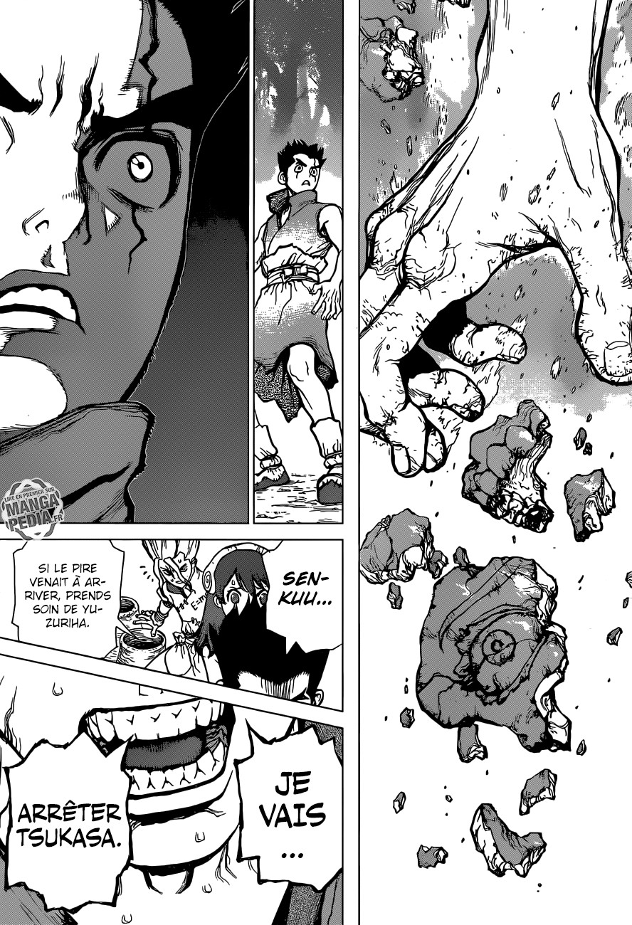 Read Dr Stone FR Manga Online