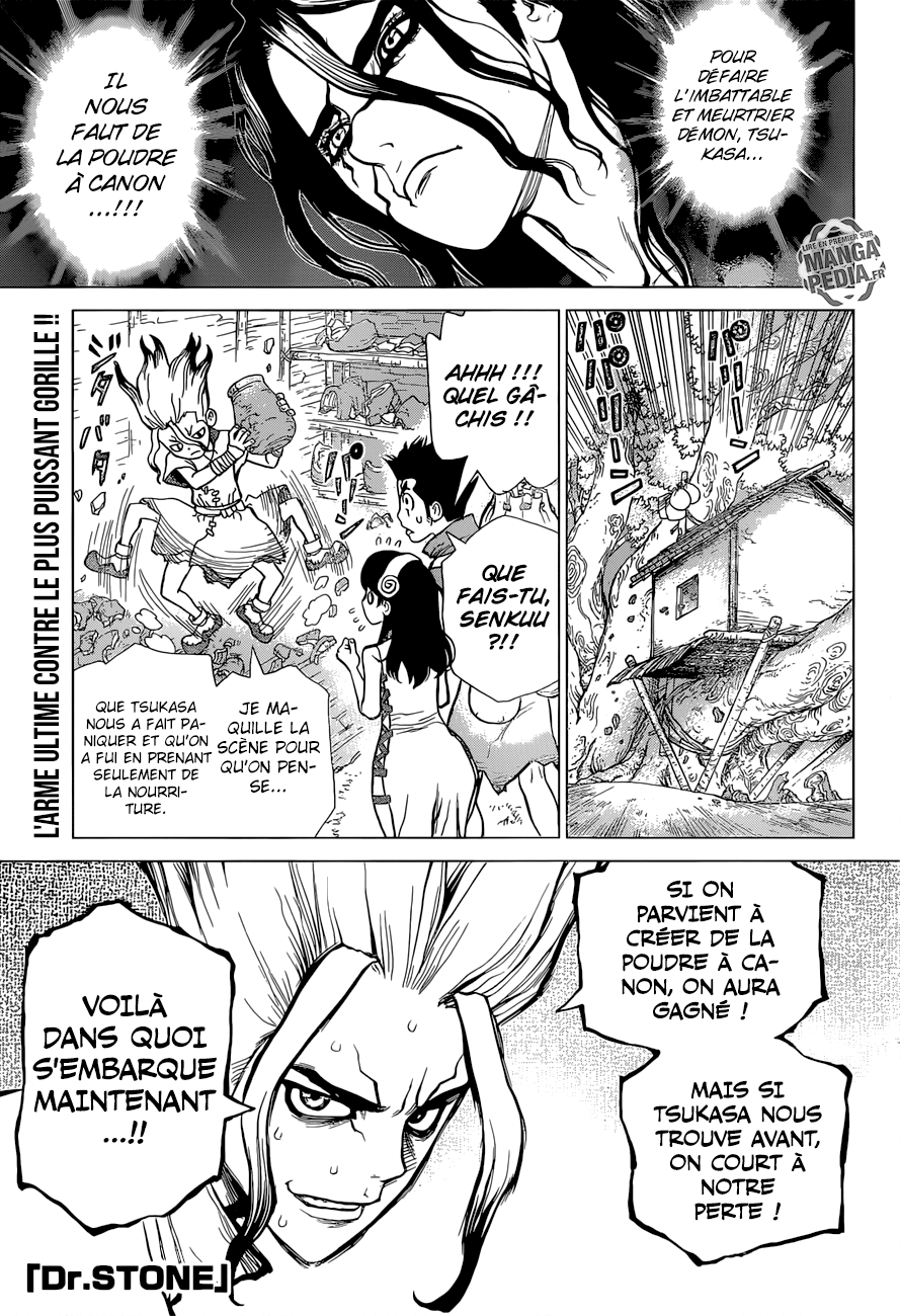 Read Dr Stone FR Manga Online