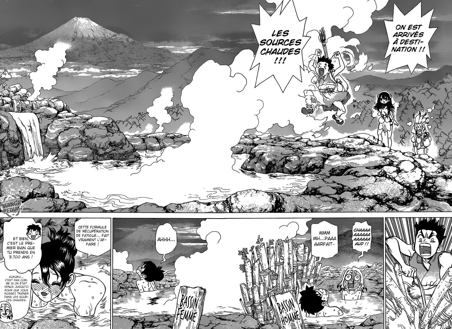Read Dr Stone FR Manga Online