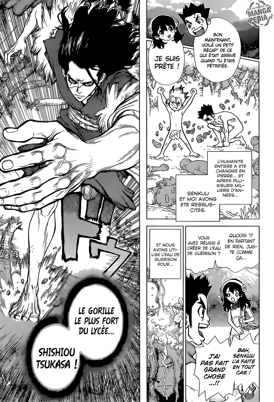 Read Dr Stone FR Manga Online