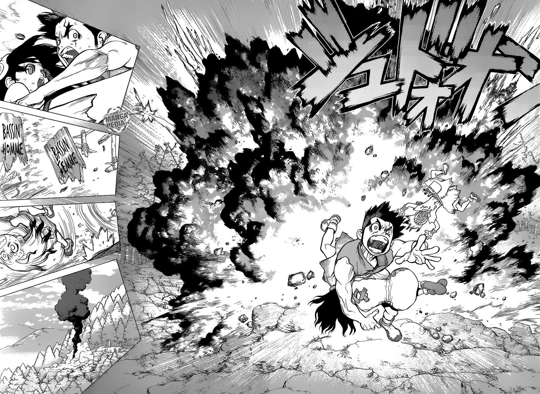 Read Dr Stone FR Manga Online