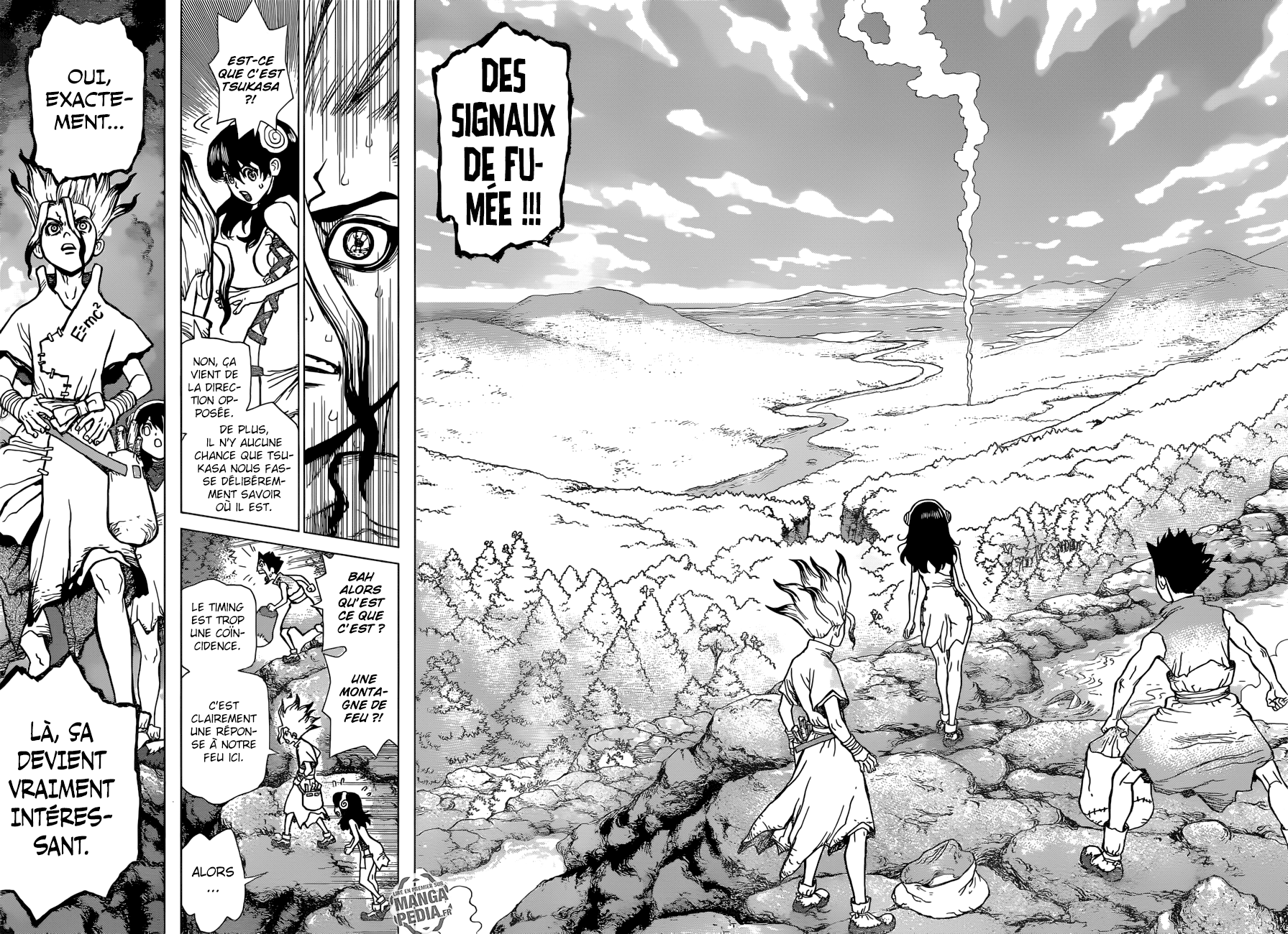 Read Dr Stone FR Manga Online