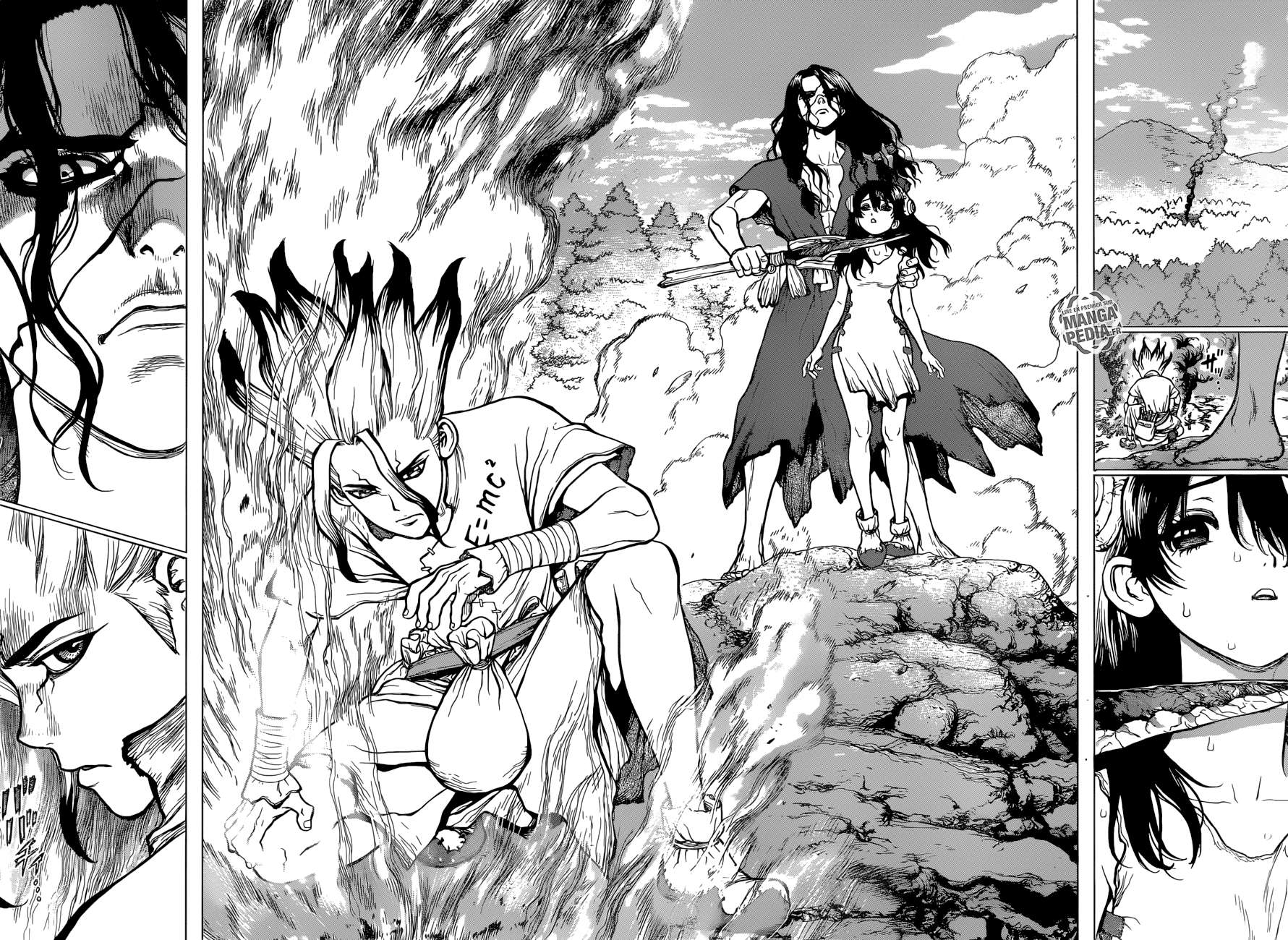 Read Dr Stone FR Manga Online
