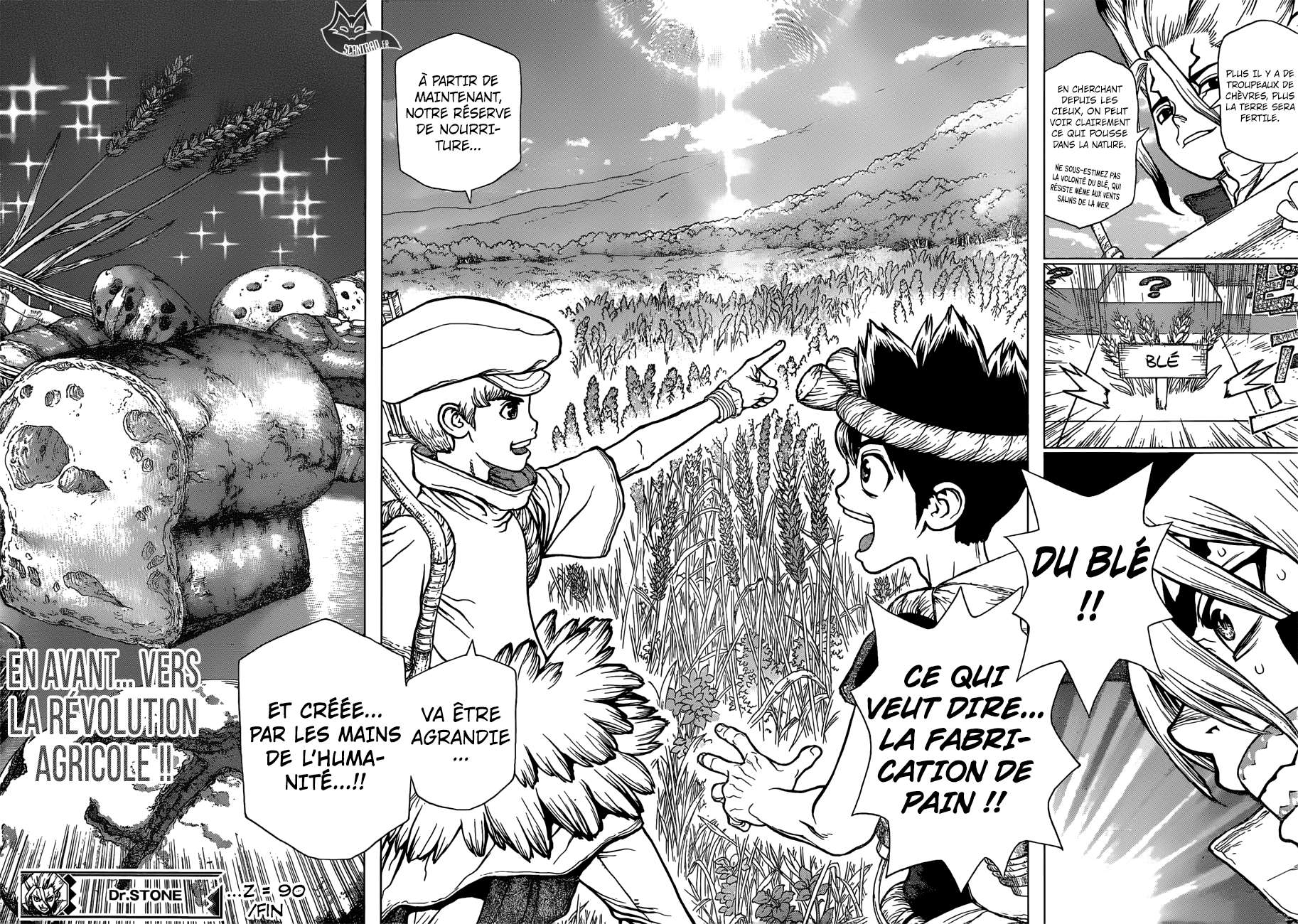 Read Dr Stone FR Manga Online