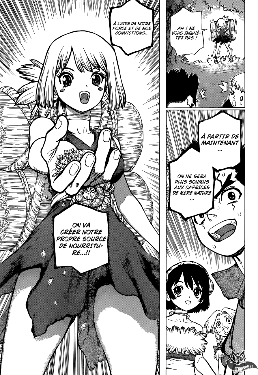 Read Dr Stone FR Manga Online
