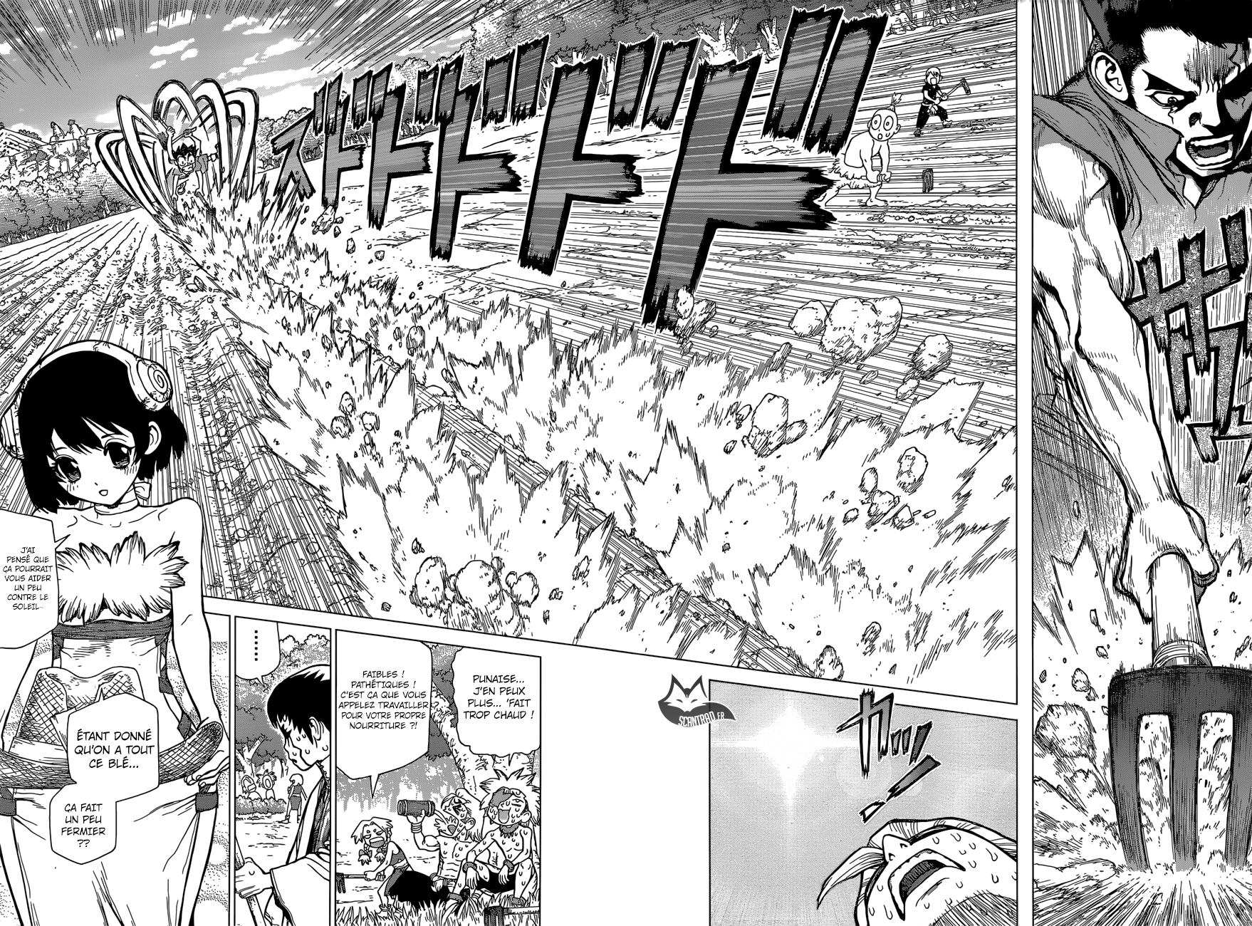 Read Dr Stone FR Manga Online