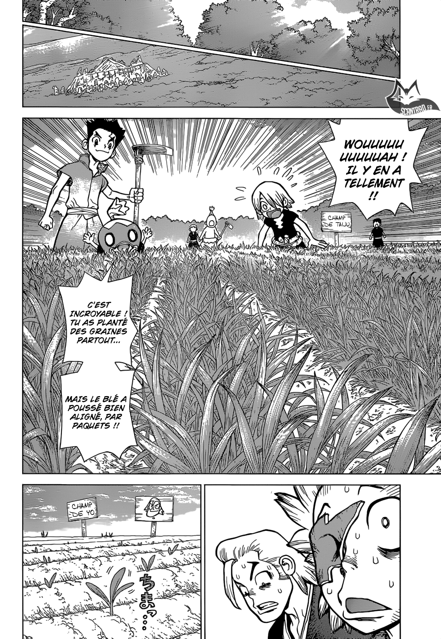 Read Dr Stone FR Manga Online