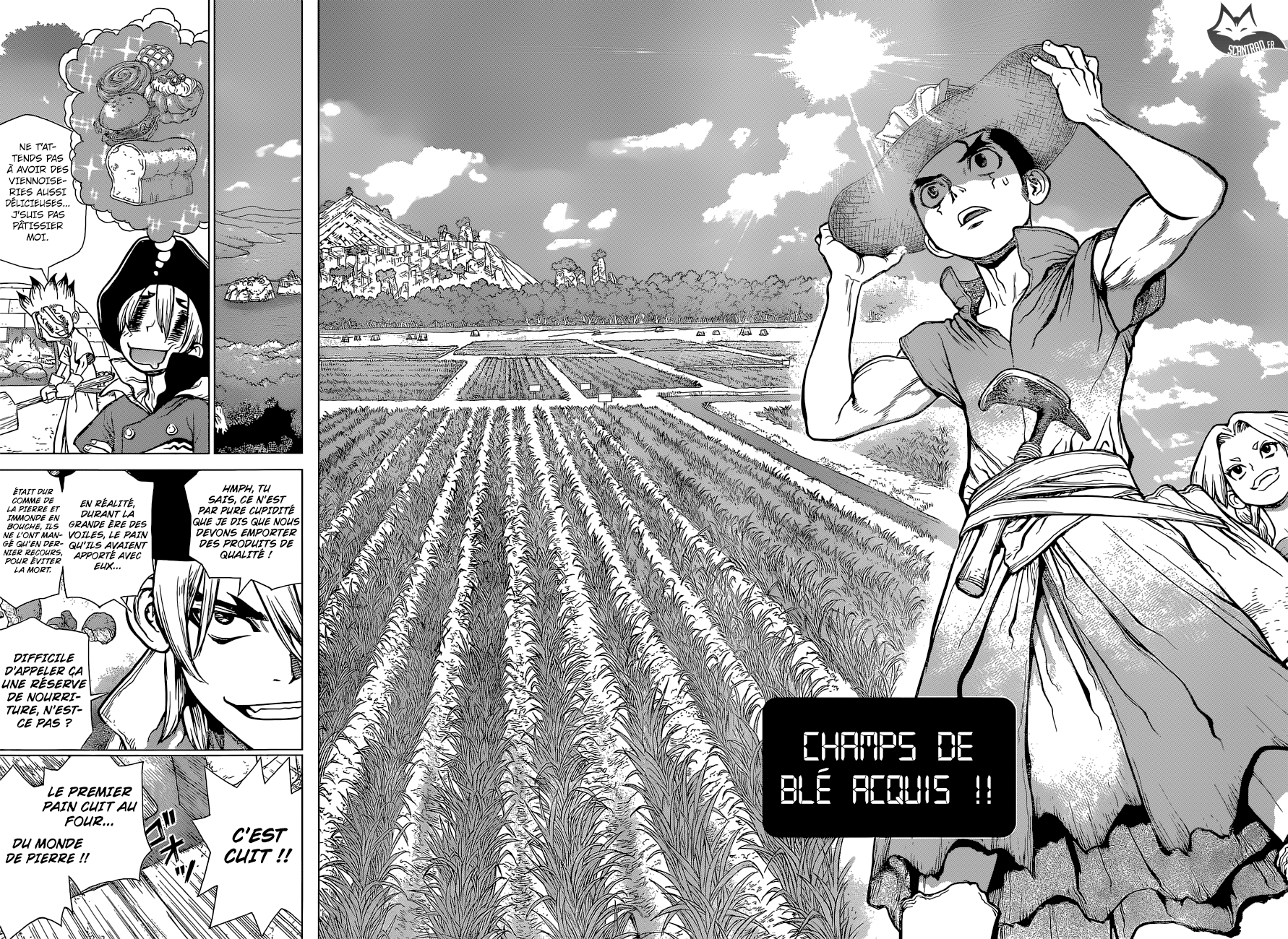 Read Dr Stone FR Manga Online