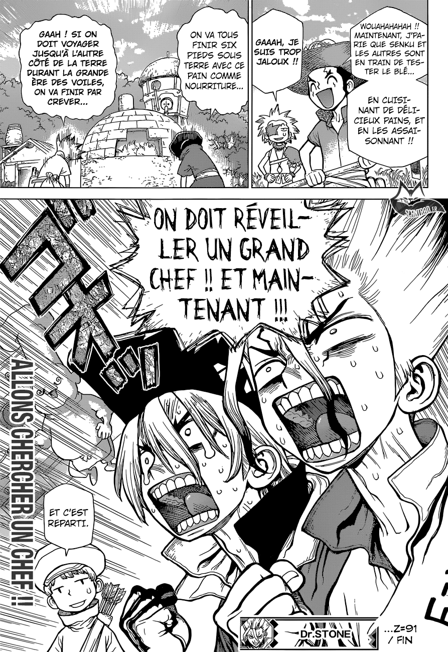 Read Dr Stone FR Manga Online