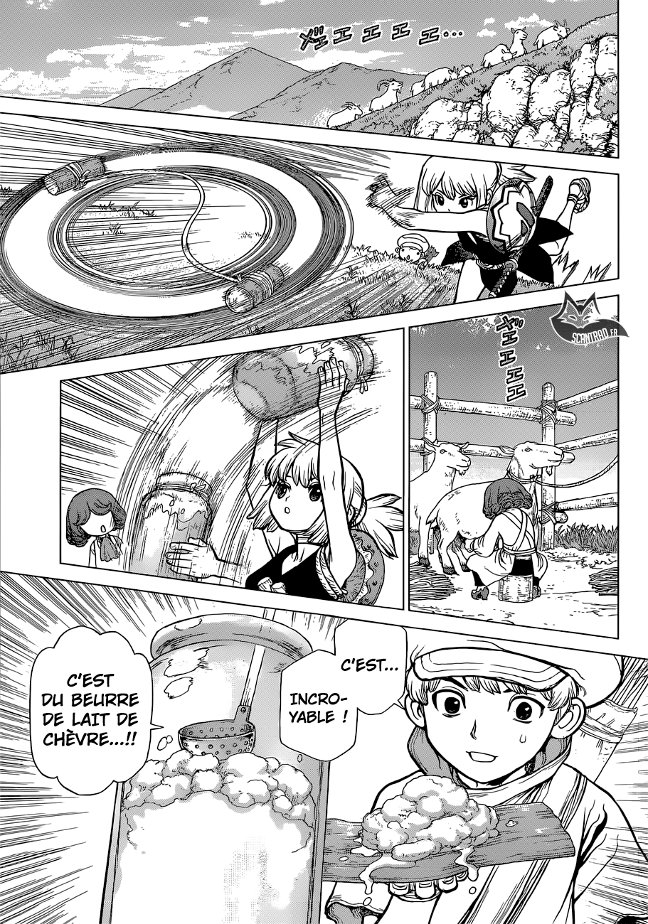 Read Dr Stone FR Manga Online