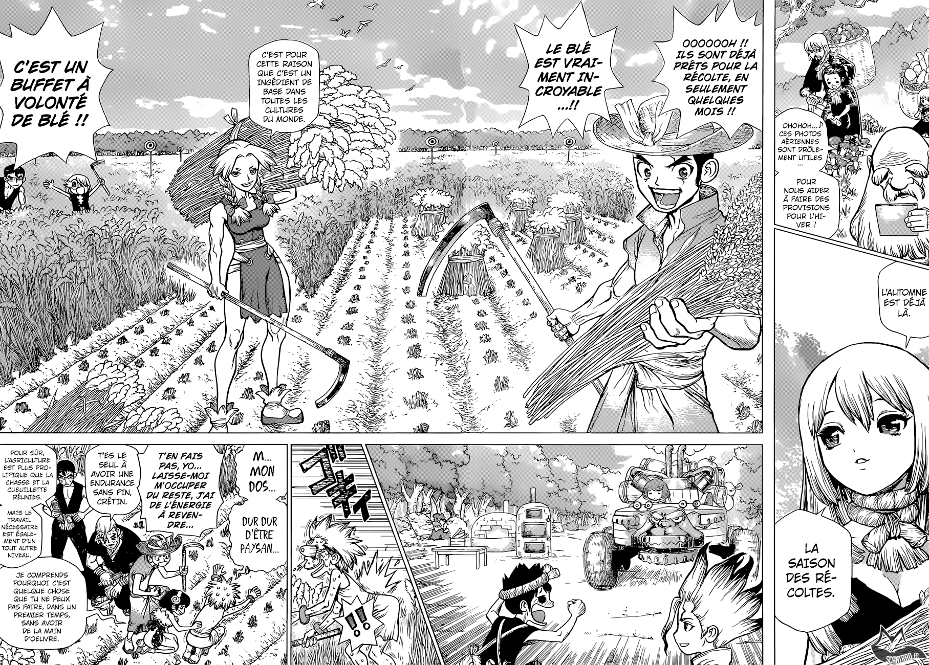 Read Dr Stone FR Manga Online
