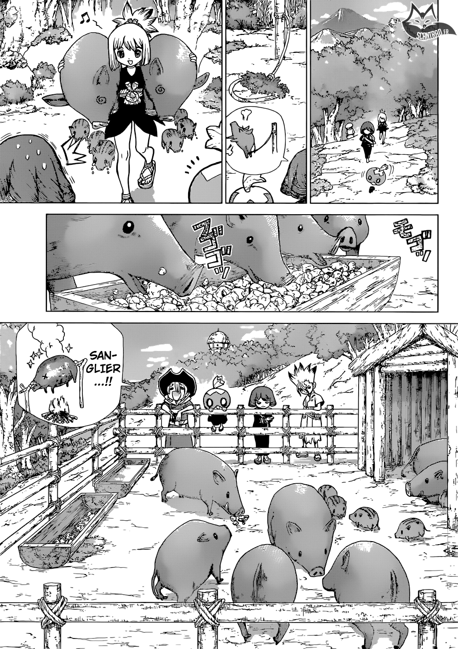 Read Dr Stone FR Manga Online