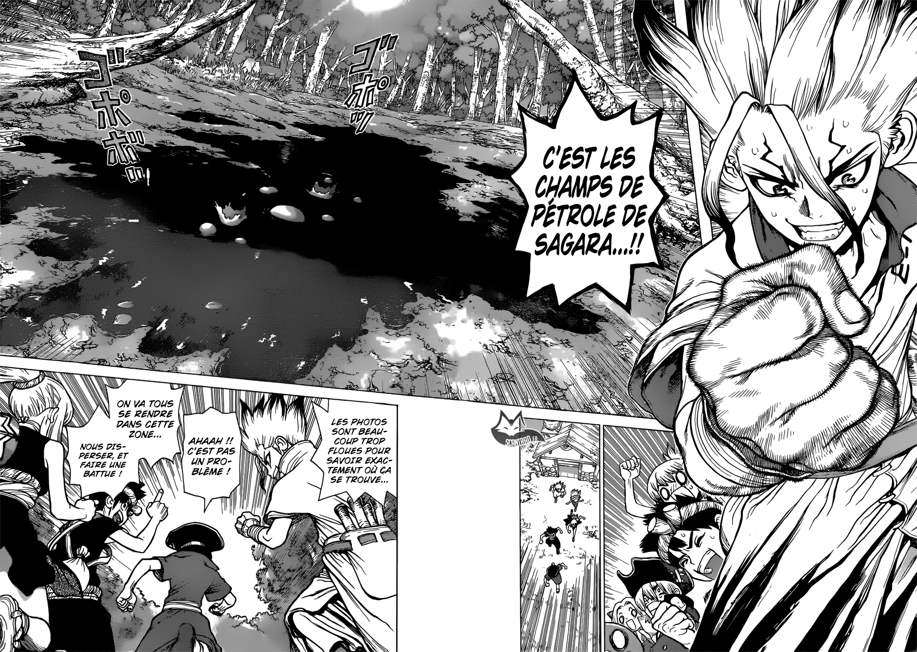 Read Dr Stone FR Manga Online