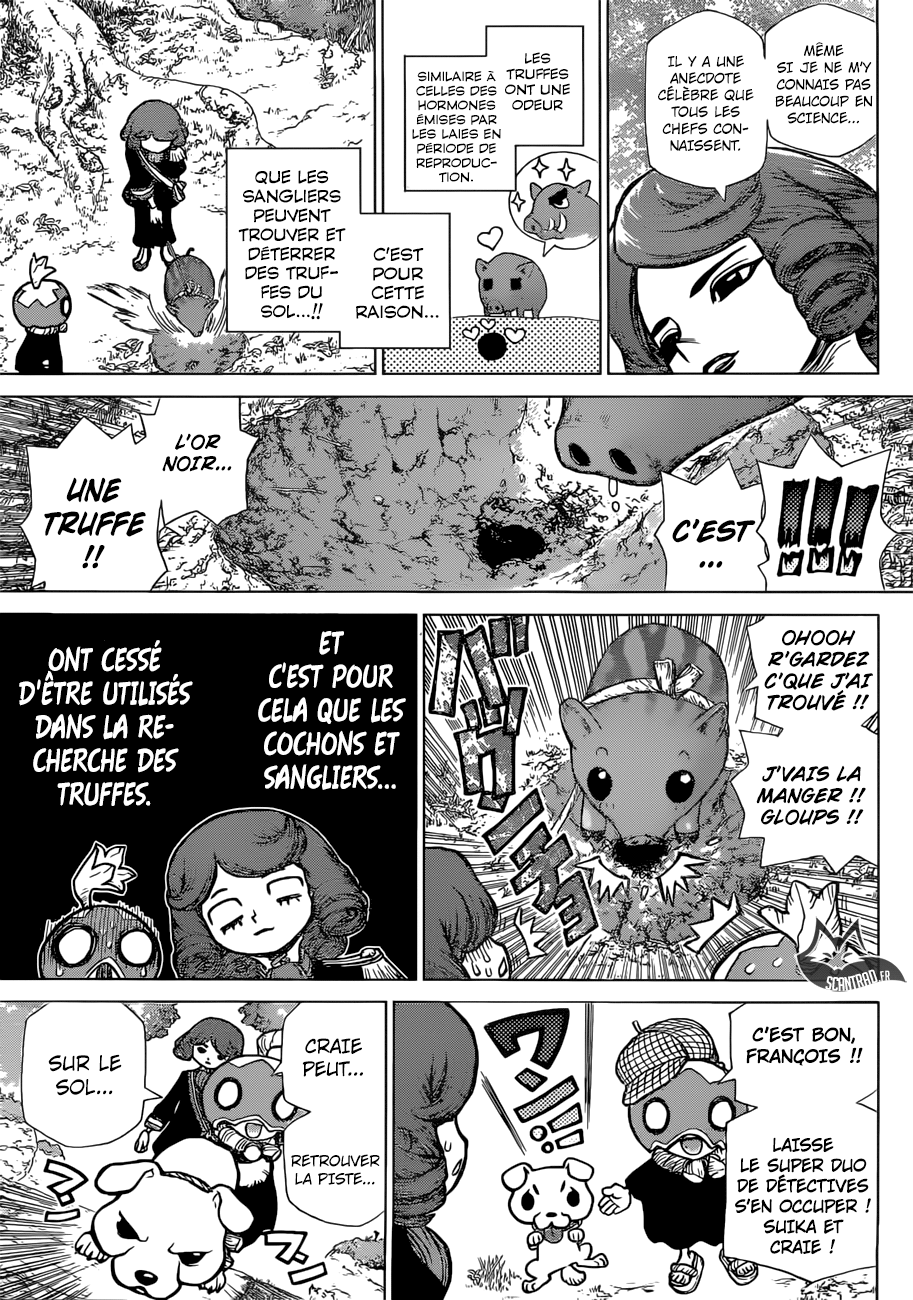 Read Dr Stone FR Manga Online