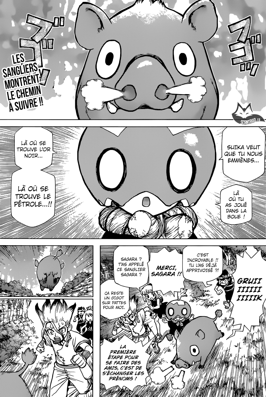 Read Dr Stone FR Manga Online