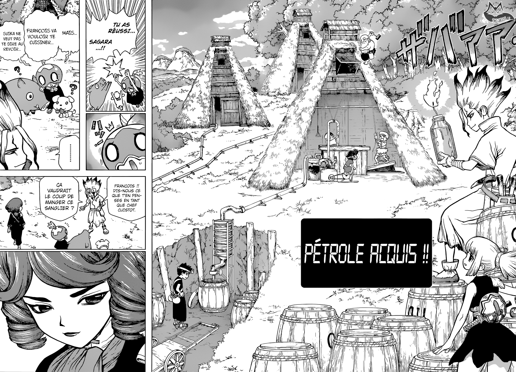 Read Dr Stone FR Manga Online