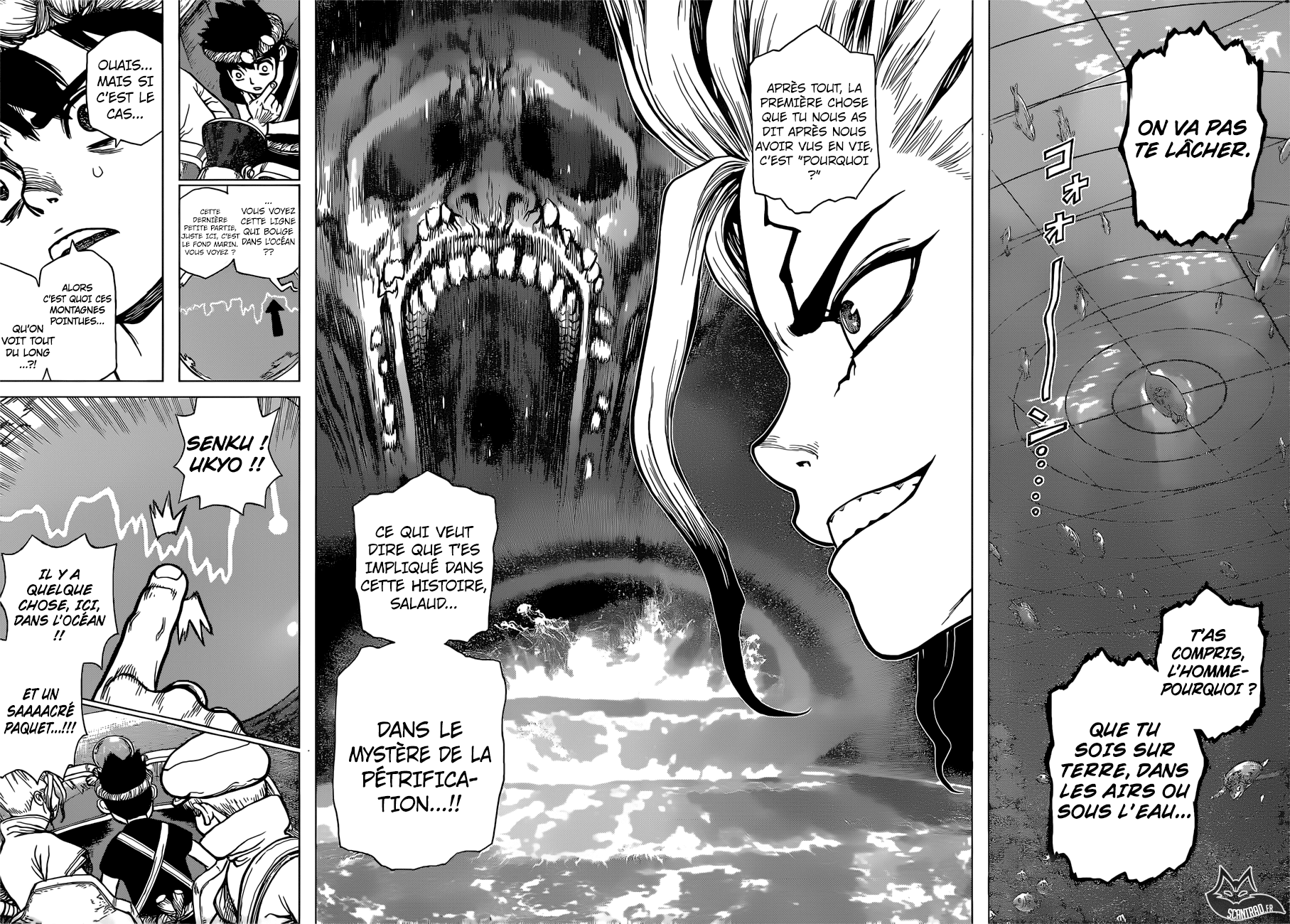 Read Dr Stone FR Manga Online