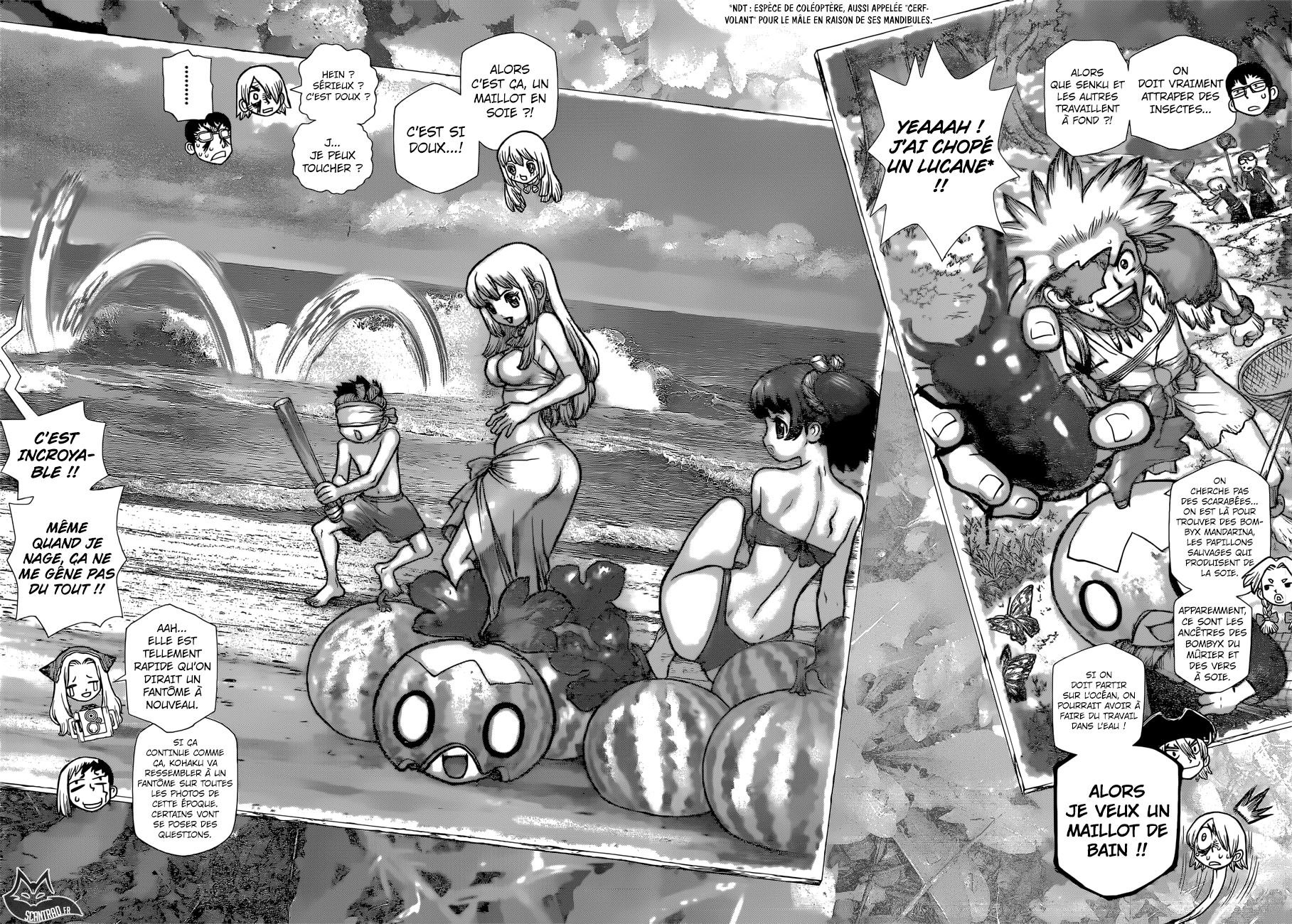 Read Dr Stone FR Manga Online