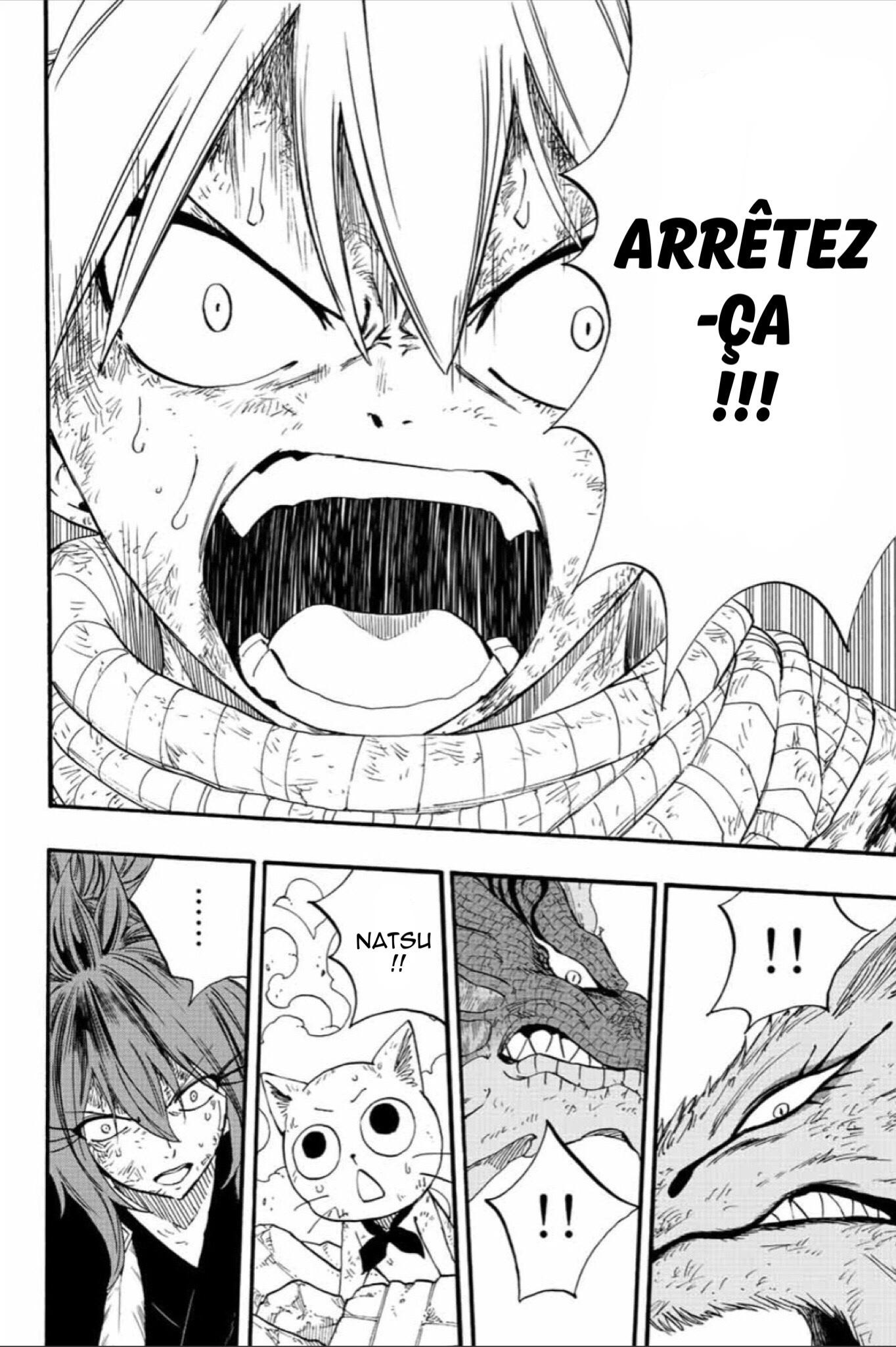 Read Fairy Tail 100 Years Quest FR Manga Online