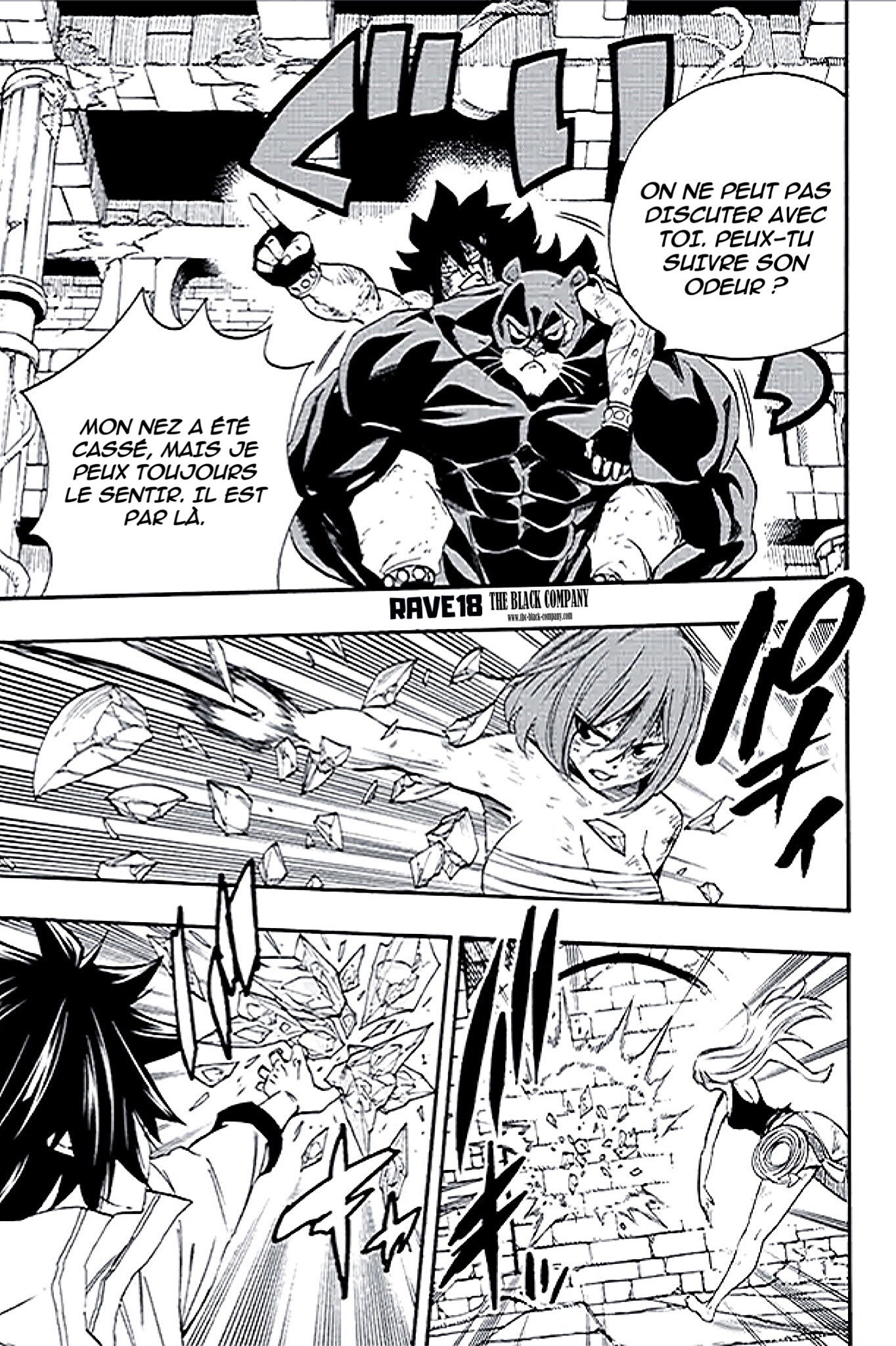Read Fairy Tail 100 Years Quest FR Manga Online