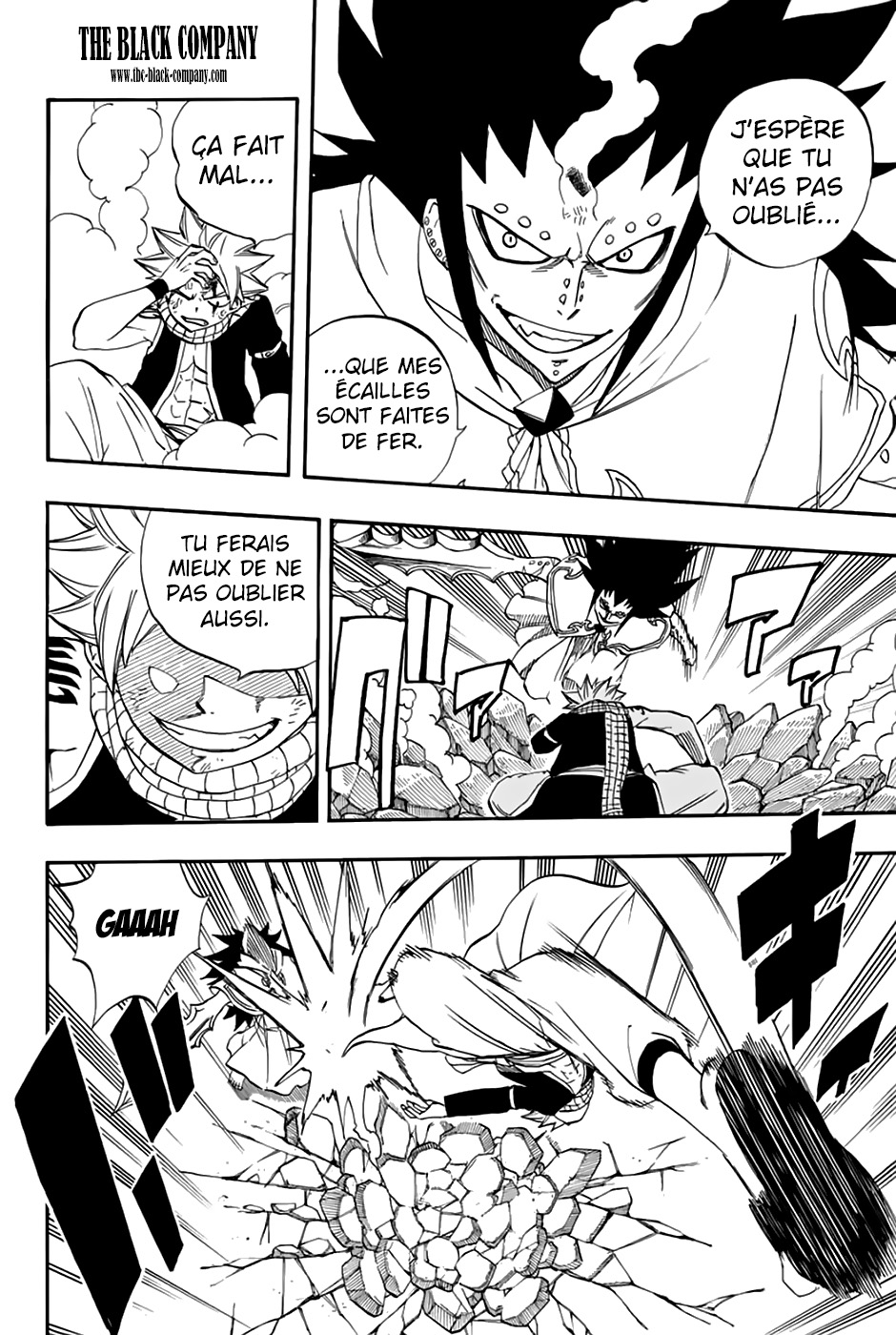 Read Fairy Tail 100 Years Quest FR Manga Online