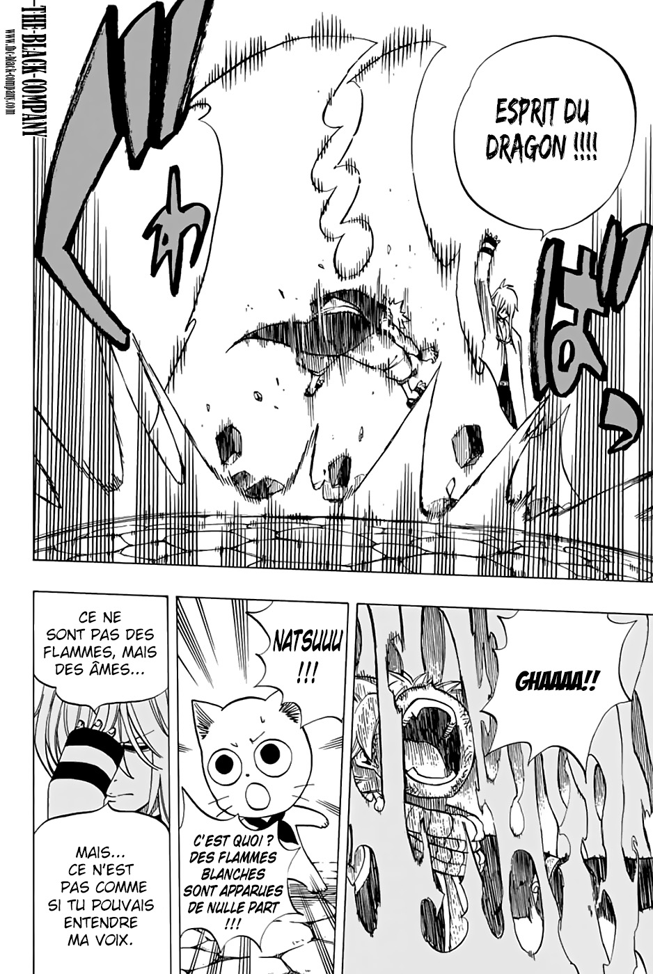 Read Fairy Tail 100 Years Quest FR Manga Online