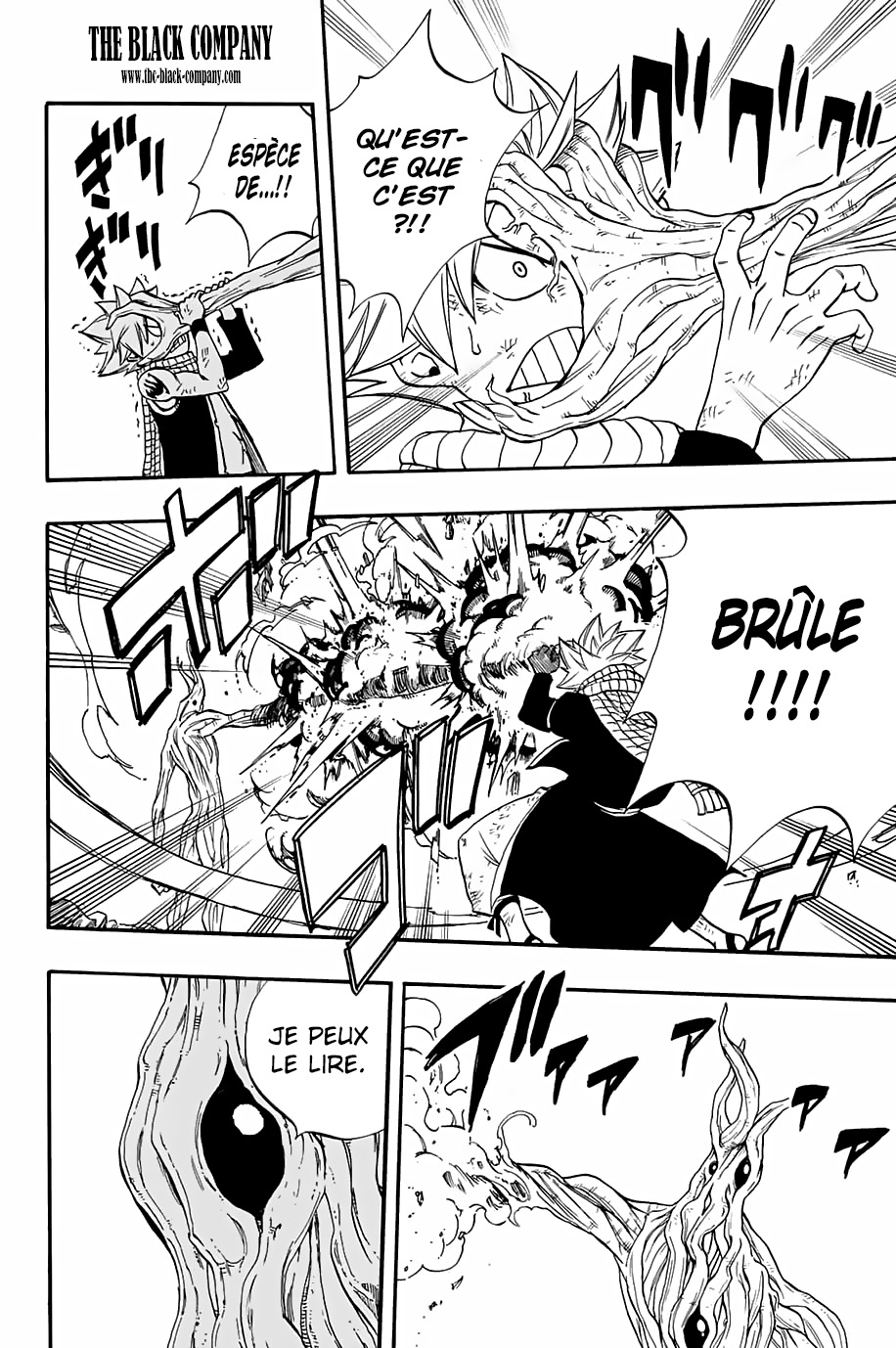 Read Fairy Tail 100 Years Quest FR Manga Online