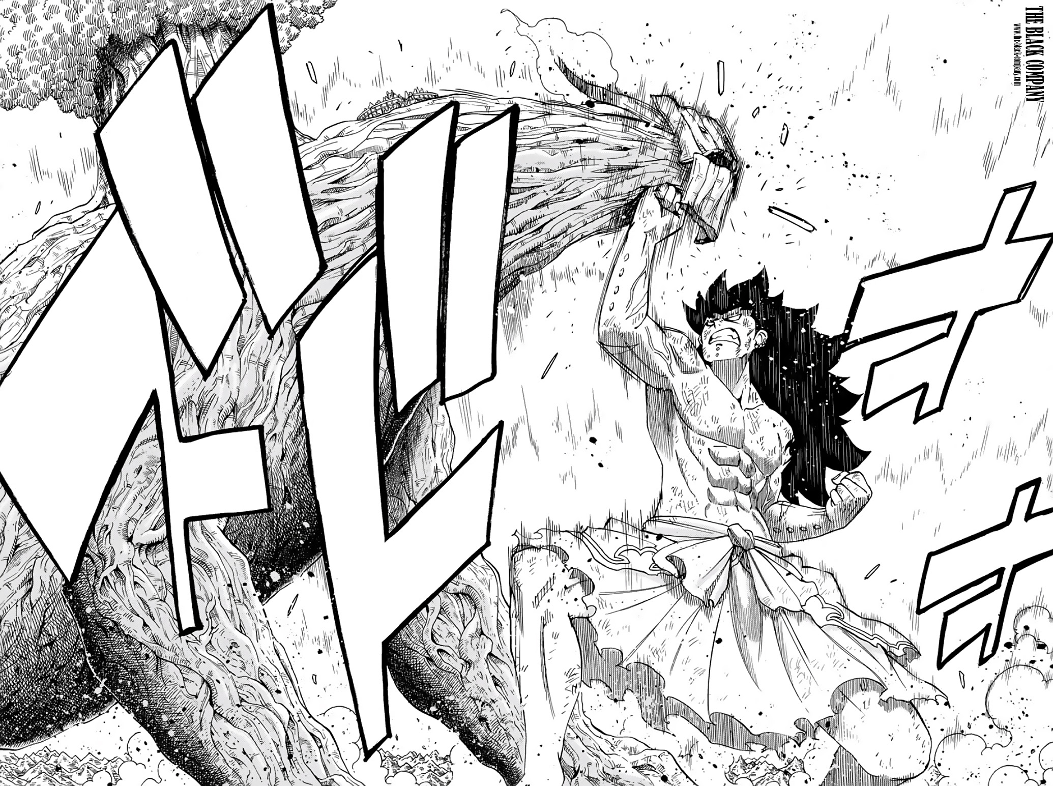 Read Fairy Tail 100 Years Quest FR Manga Online