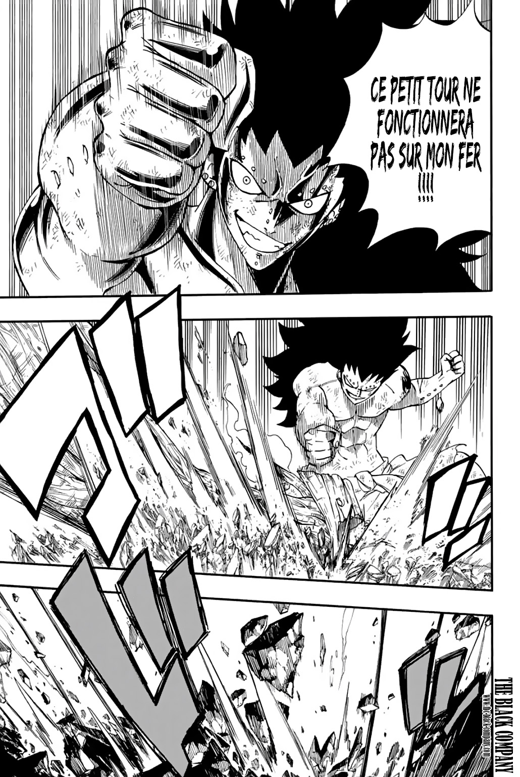 Read Fairy Tail 100 Years Quest FR Manga Online