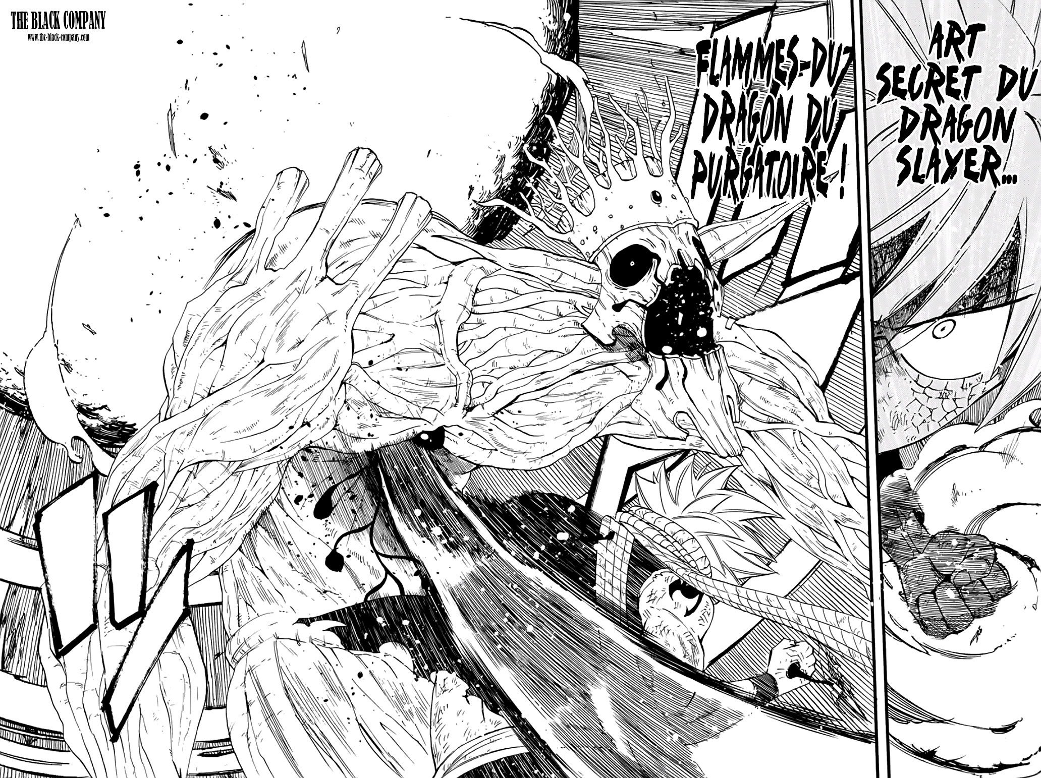 Read Fairy Tail 100 Years Quest FR Manga Online