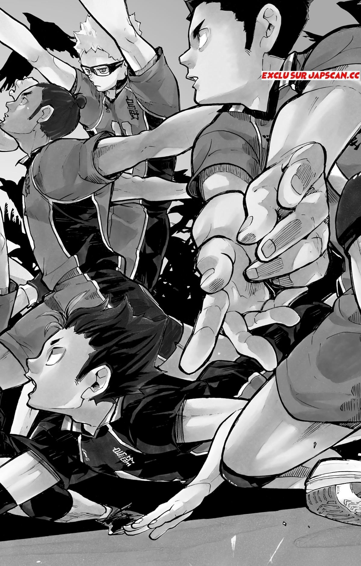 Read Haikyuu FR Manga Online