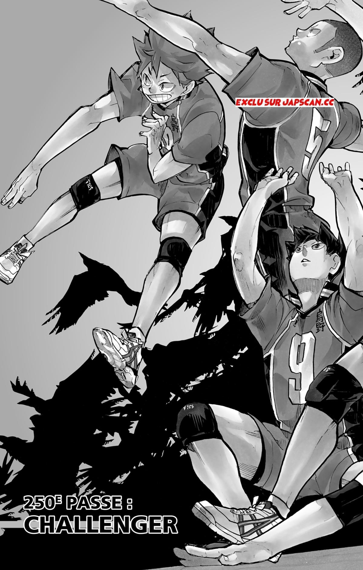 Read Haikyuu FR Manga Online