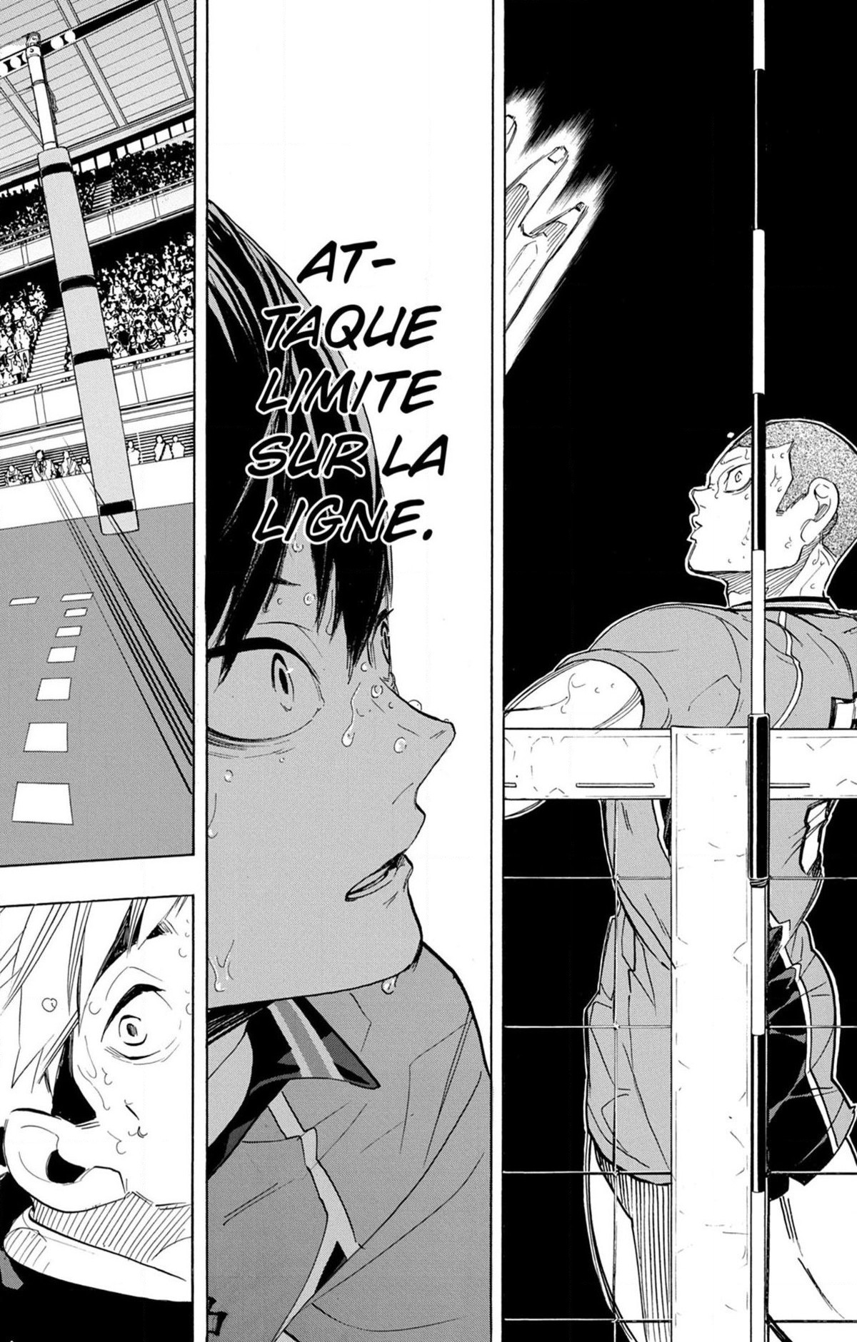 Read Haikyuu FR Manga Online