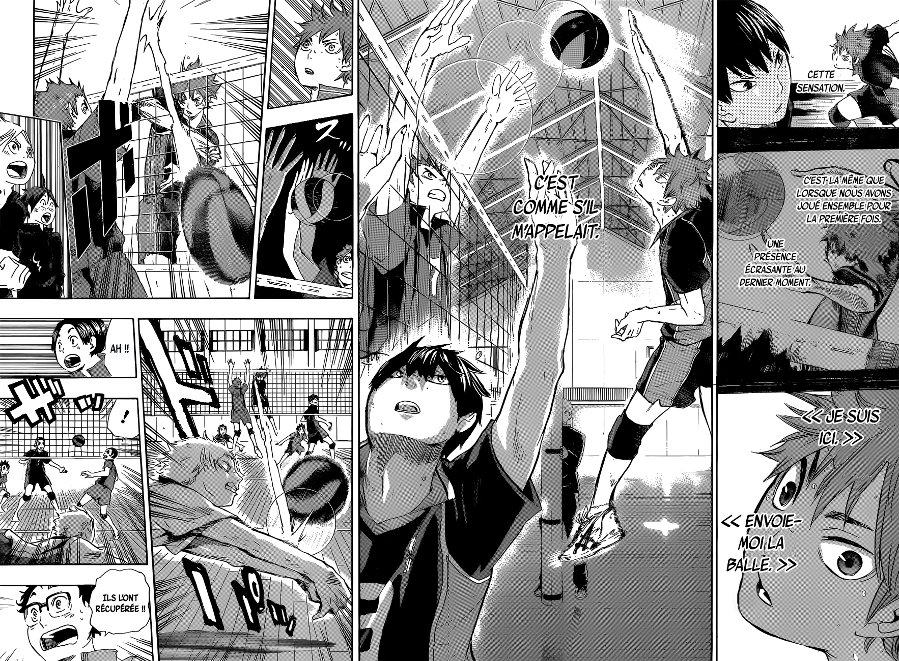 Read Haikyuu FR Manga Online