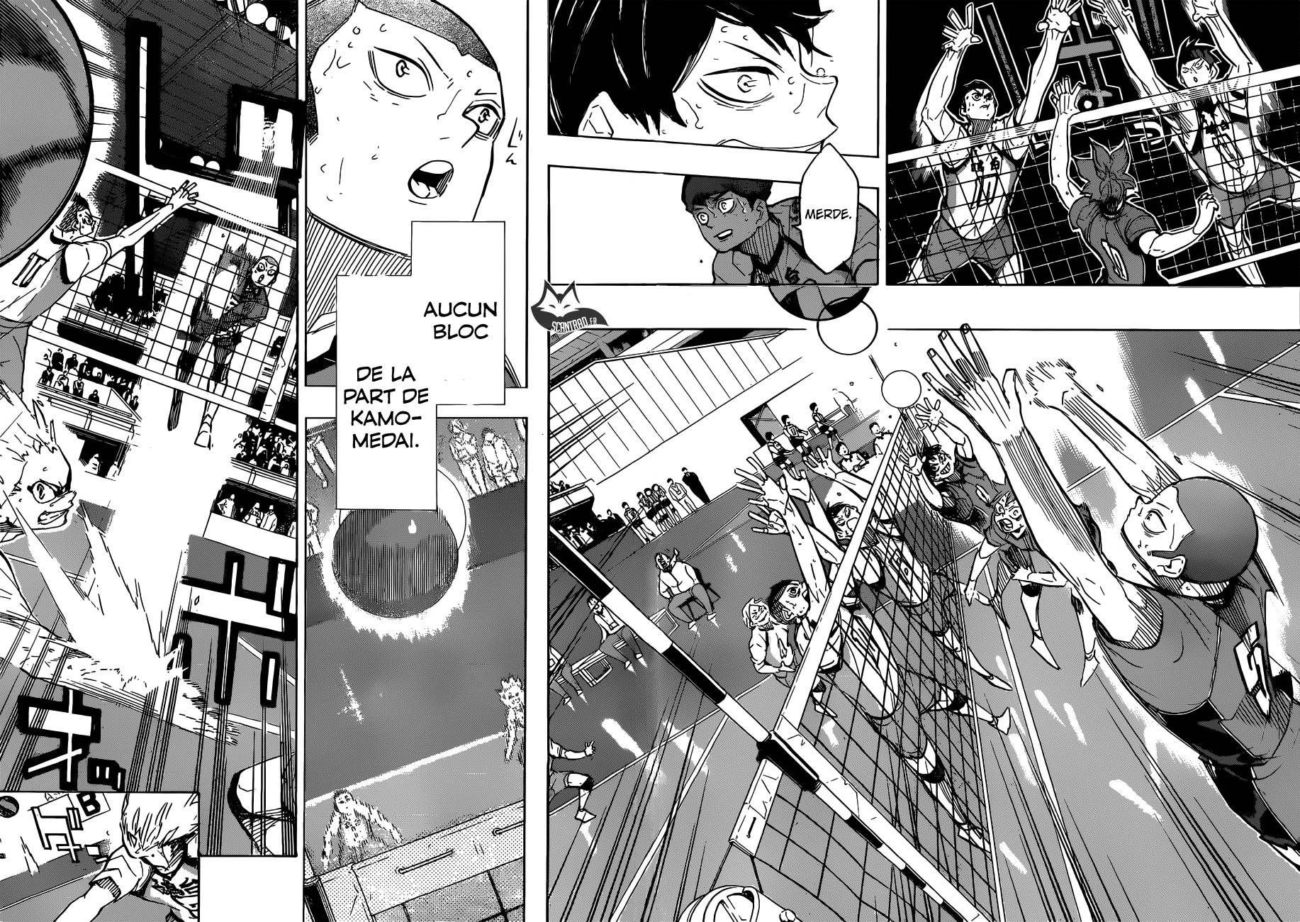 Read Haikyuu FR Manga Online