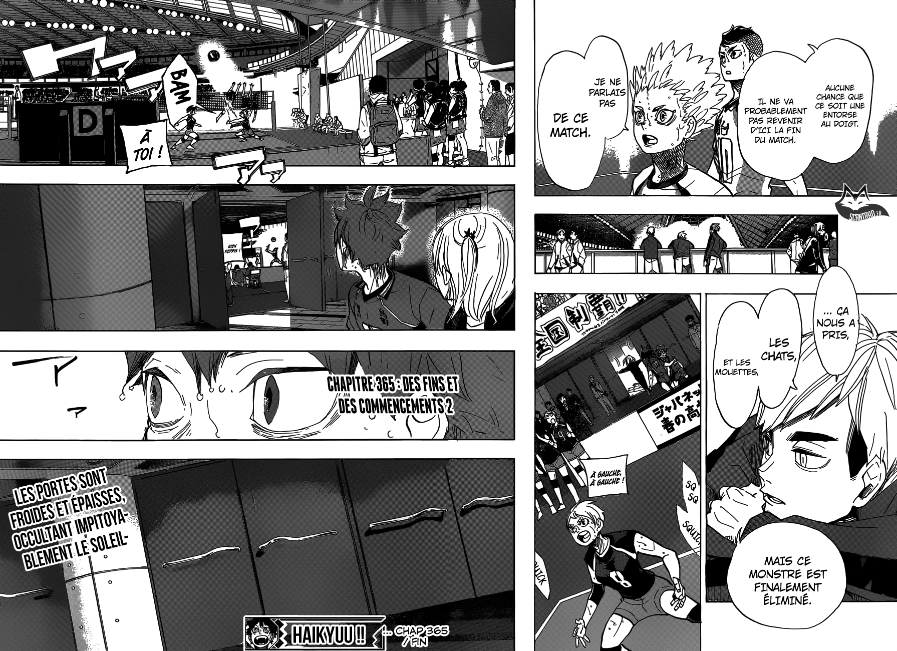 Read Haikyuu FR Manga Online
