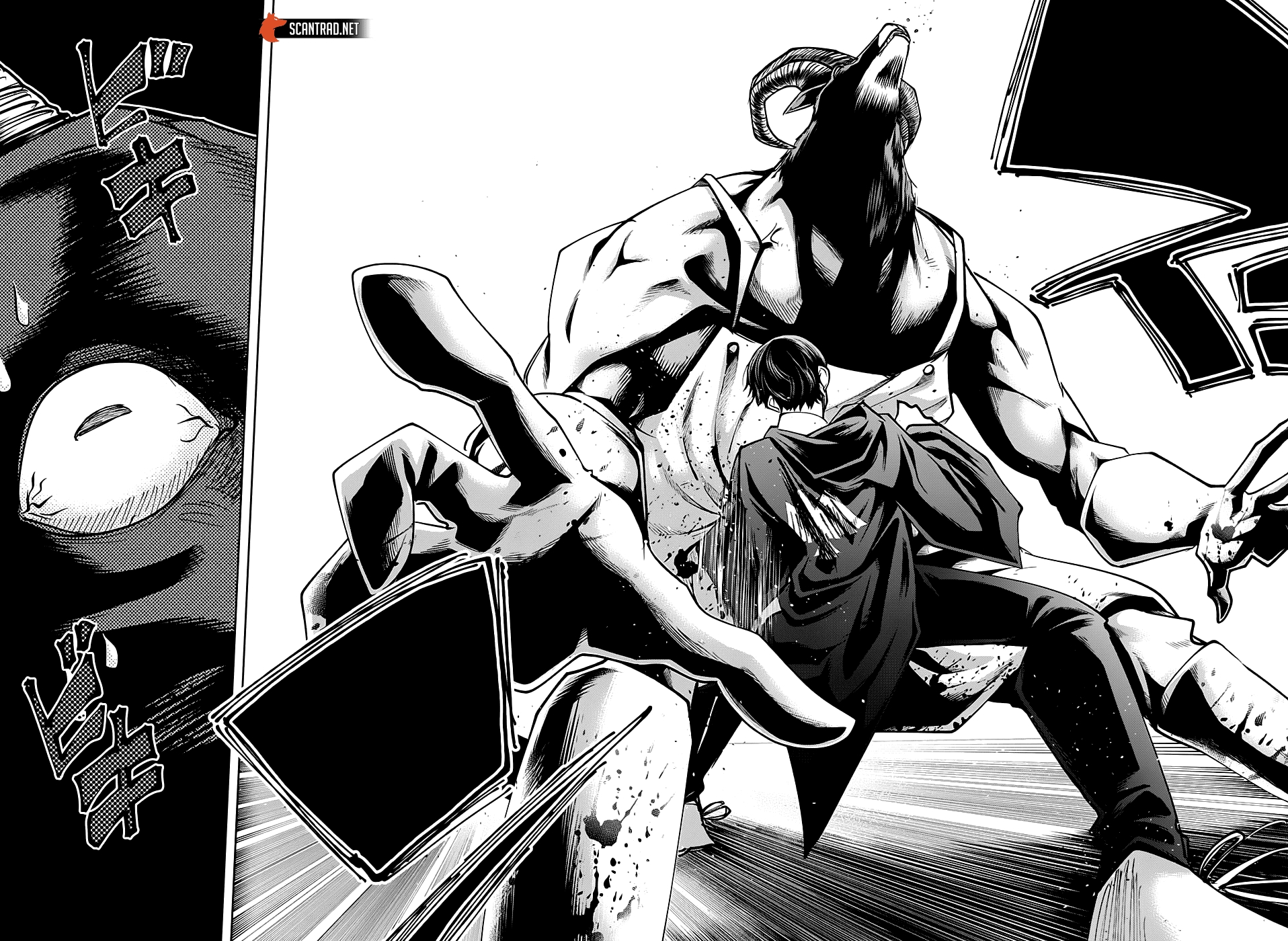 Read Mashle FR Manga Online