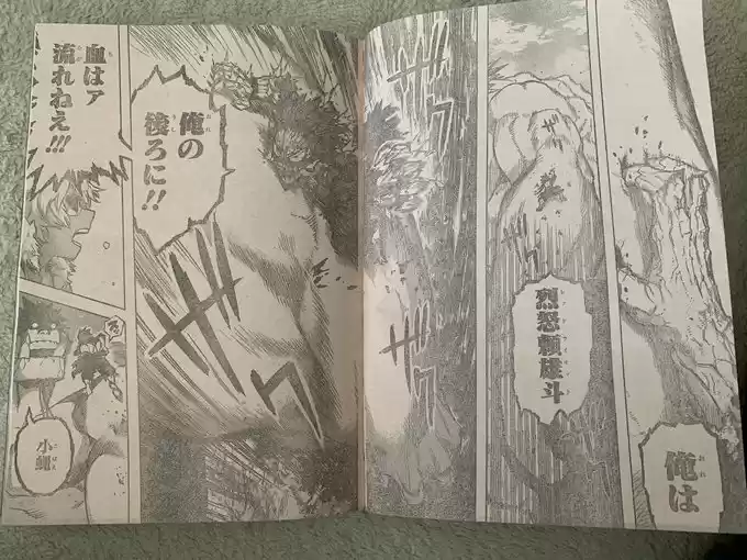 Read My Hero Academia FR Manga Online