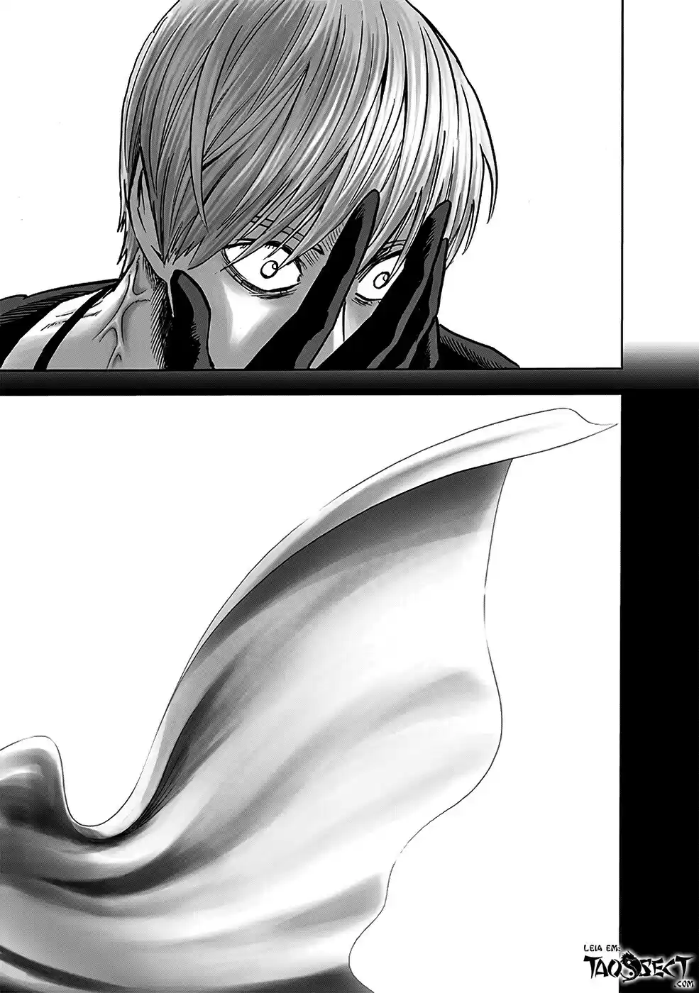 Read One Punch Man PT Manga Online