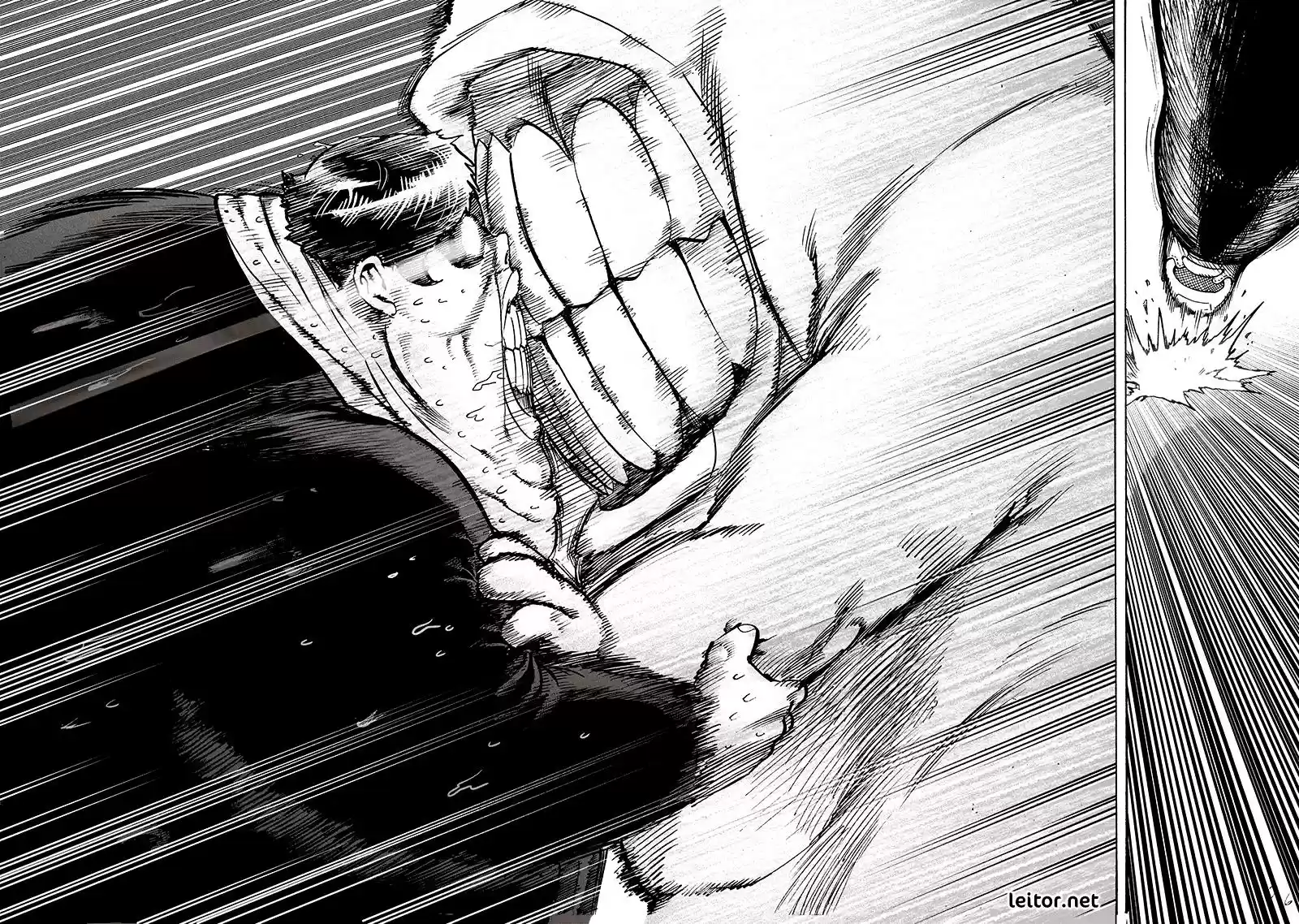 Read One Punch Man PT Manga Online