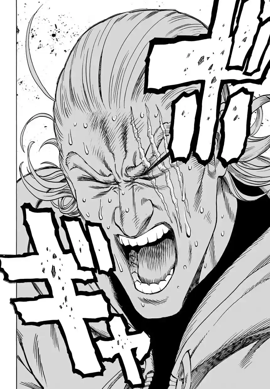 Read One Punch Man PT Manga Online