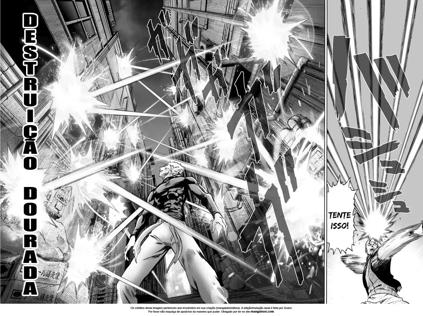 Read One Punch Man PT Manga Online
